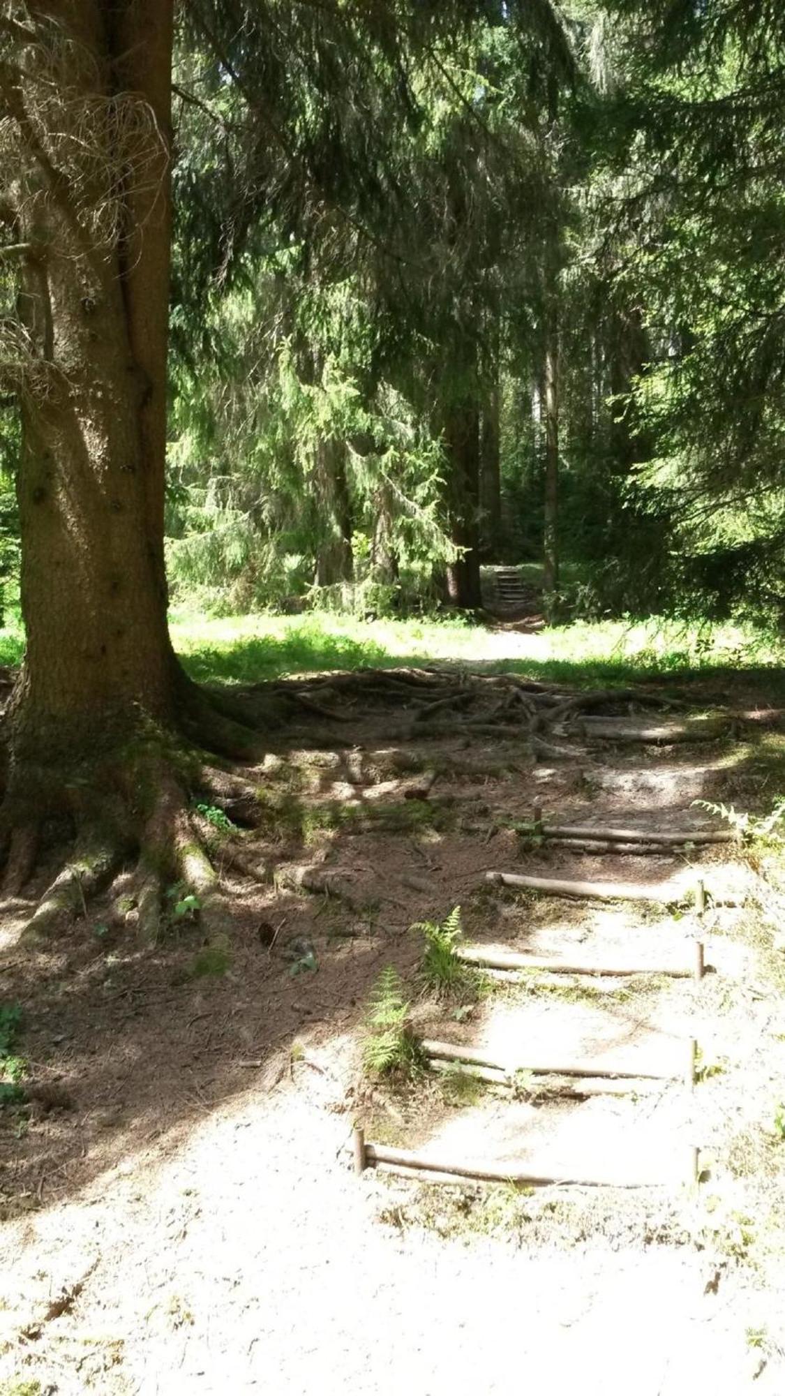 Ferienhaus Fuer 6 Personen Im Thueringer Wald Grossbreitenbach 外观 照片