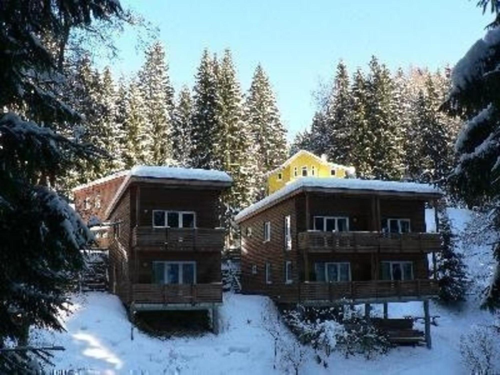 Ferienhaus Fuer 6 Personen Im Thueringer Wald Grossbreitenbach 外观 照片