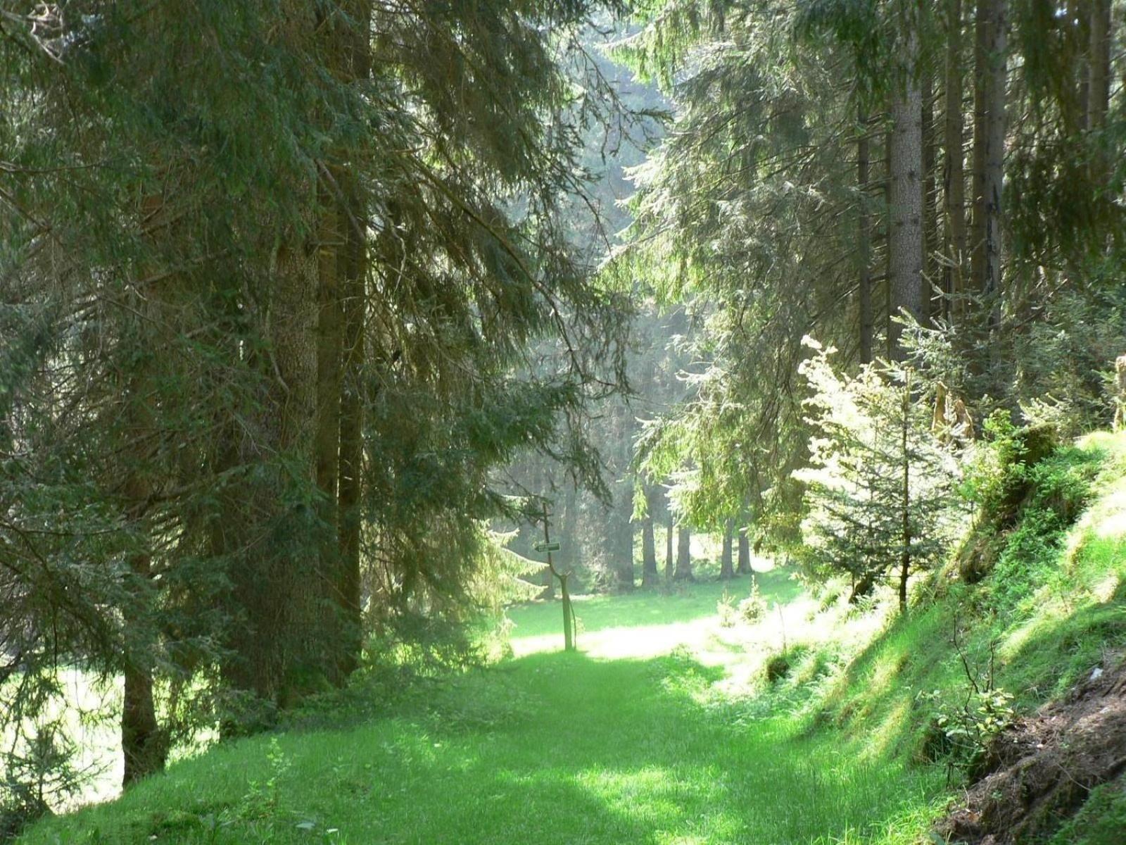 Ferienhaus Fuer 6 Personen Im Thueringer Wald Grossbreitenbach 外观 照片