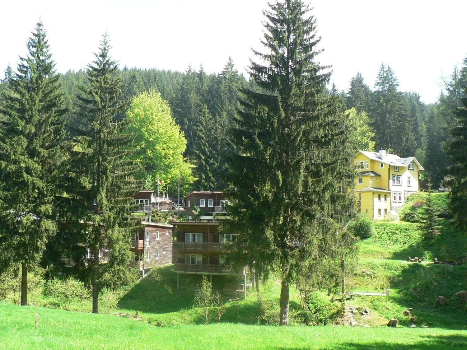 Ferienhaus Fuer 6 Personen Im Thueringer Wald Grossbreitenbach 外观 照片