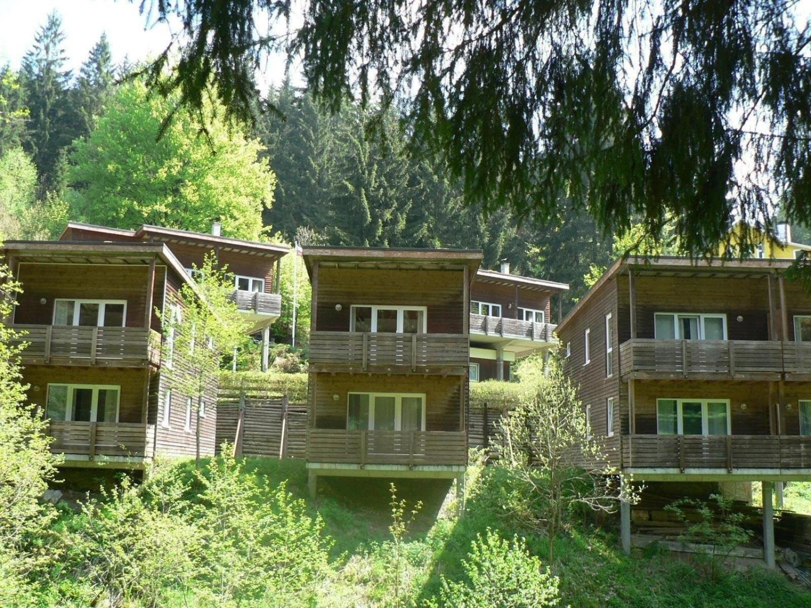 Ferienhaus Fuer 6 Personen Im Thueringer Wald Grossbreitenbach 外观 照片